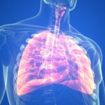 A person's lungs and the importance of lung function testing