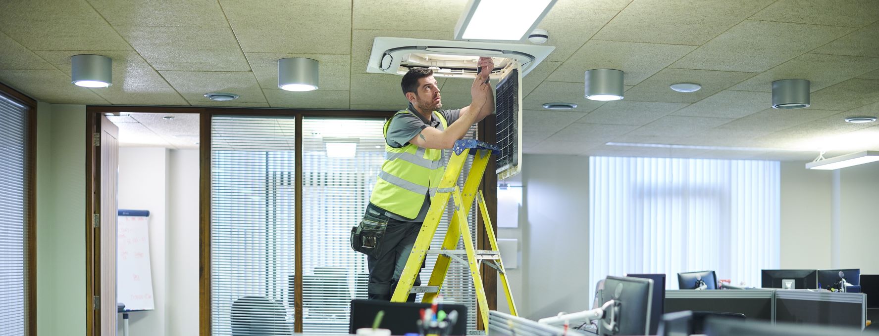 Ladder inspection Training | Milne Safety