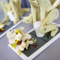 Manual Handling Training manual handling model