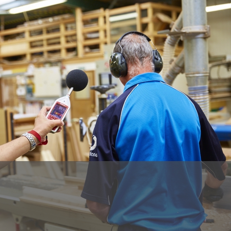 Noise Assessment